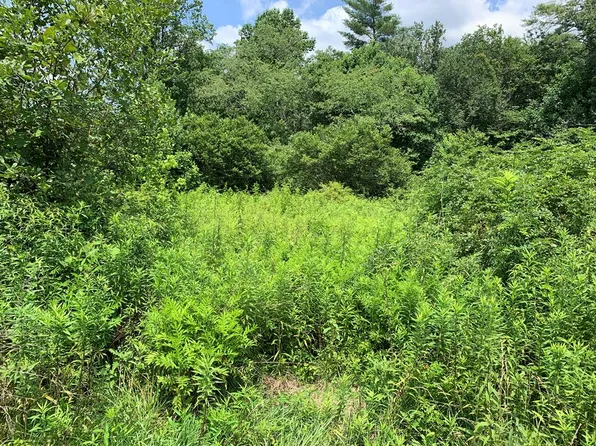 Tbd Greasy Creek Rd, Murphy, NC 28906