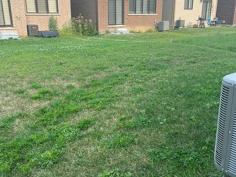 65 Concord Dr — Photo 19