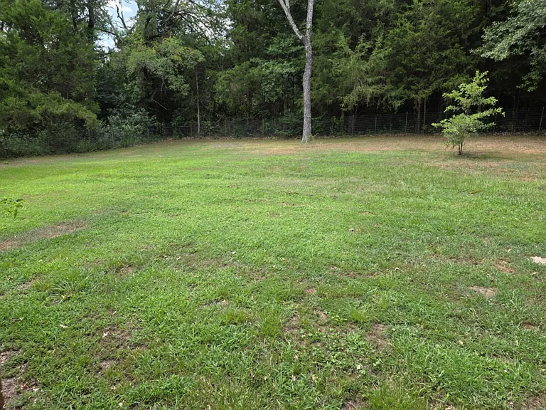 15151 FM 429 — Photo 18