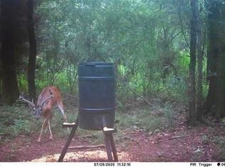 3037 Brandi Rd, Summit, MS 39666