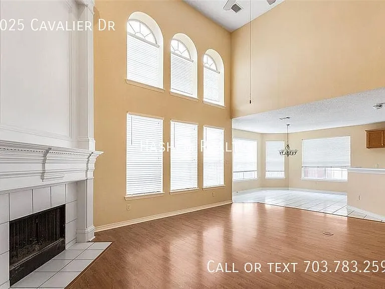 8025 Cavalier Dr — Photo 6