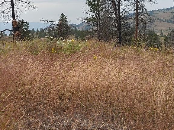 3rd image of 68 Crest Dr