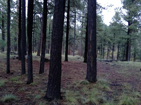 1864 QUILT COUNTRY Drive #780, Forest Lakes, AZ 85931