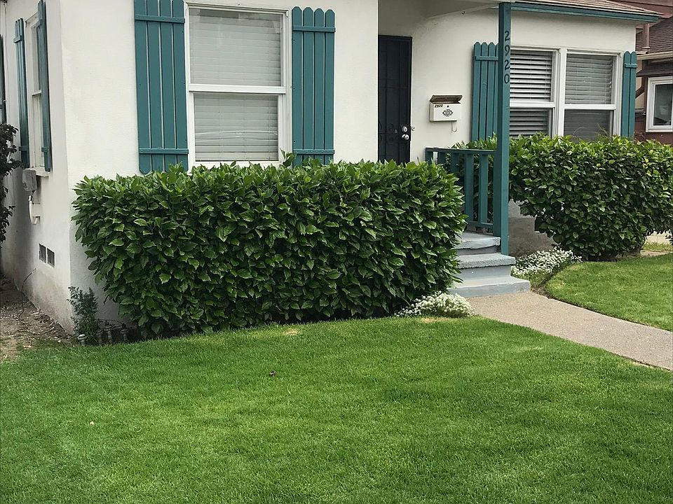 1st image of 2920 Pacific Ave