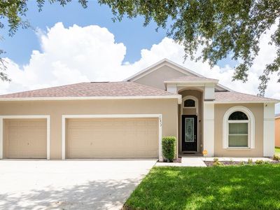 10817 Australian Pine Dr, Riverview, FL, 33579