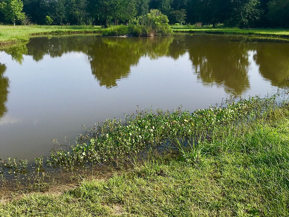2nd image of 202 Jared Rd