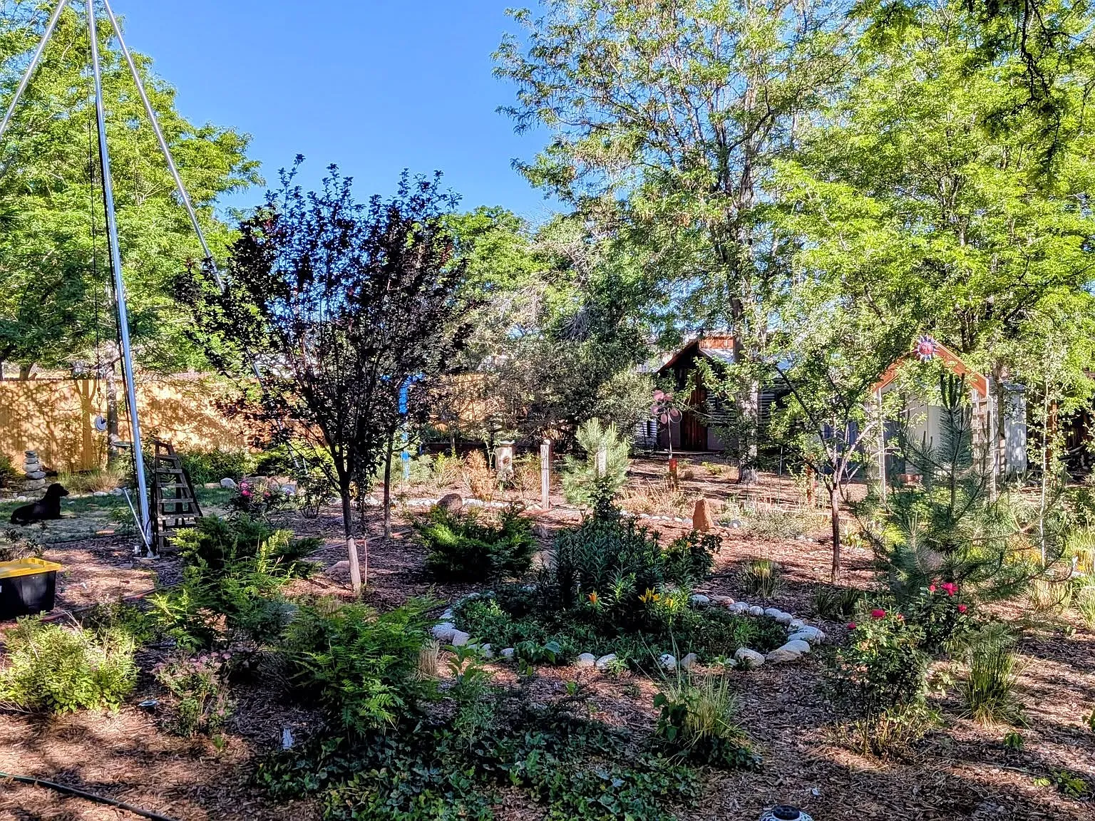 4 bed, 1588 sqft, $1,200 — Photo 3