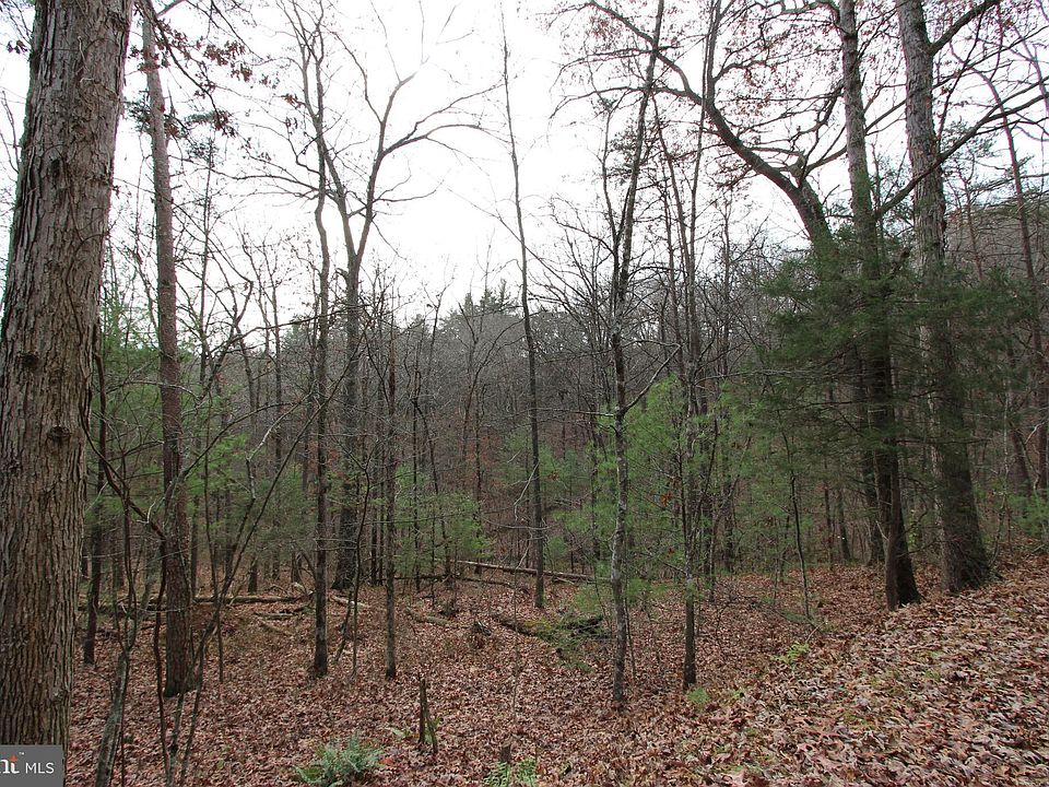 1st image of Basswood Ln