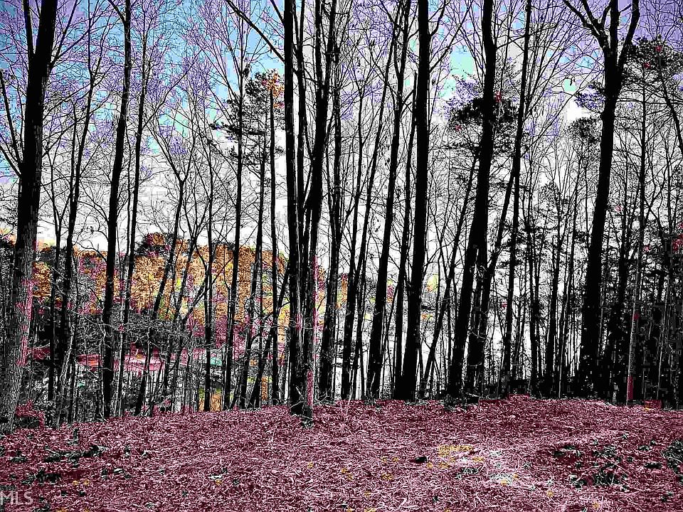 1st image of 0 Tom Cobb Dr Lot 2