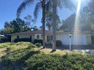 3432 Montano Ave, Spring Hill, FL 34609