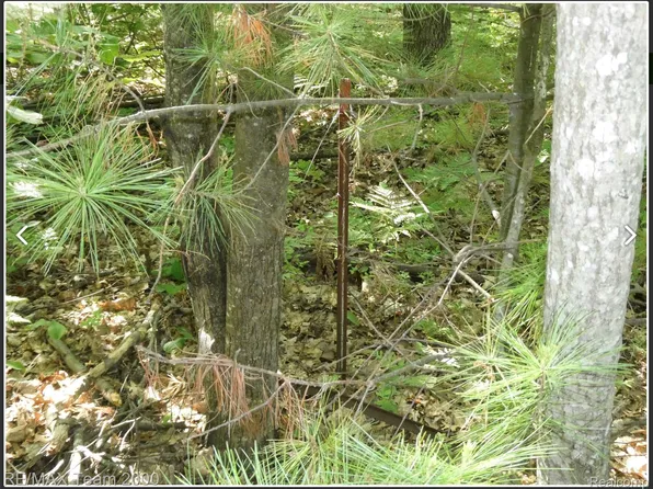 Bunny Run Vacant, Houghton Lake, MI 48629