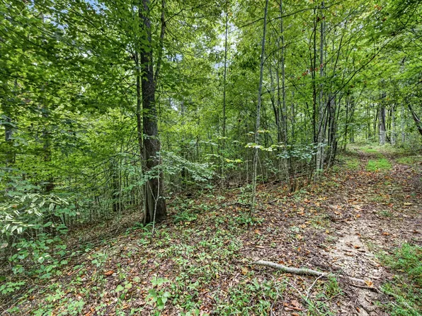 0 Timber Ridge Ln Lot 25, Celina, TN 38551