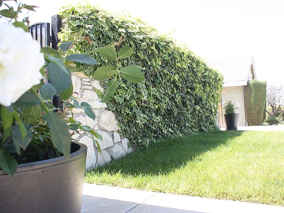 Wall in Front of House