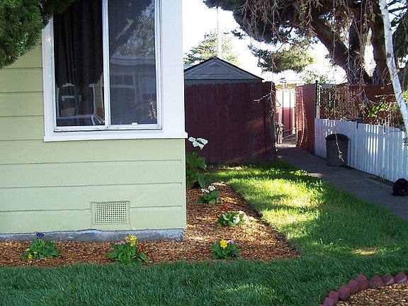 Side Yard