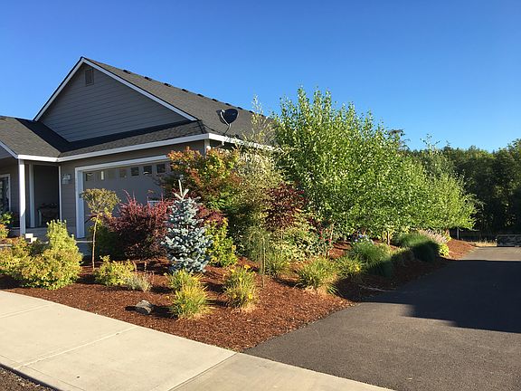 Right-east side view 