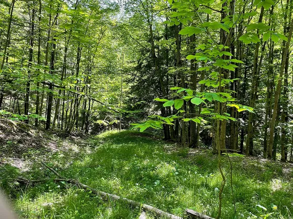 9611 Crump Rd, Springville, NY 14141