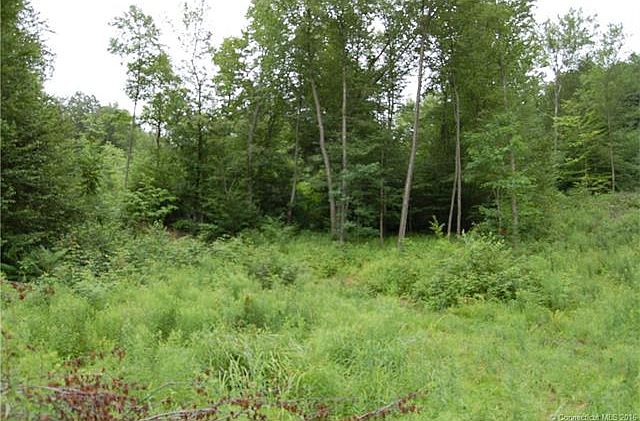 2nd image of 106 Plain Hill Rd