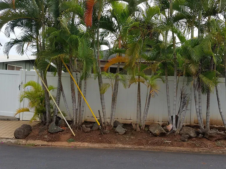 Akalani Pl — Photo 5