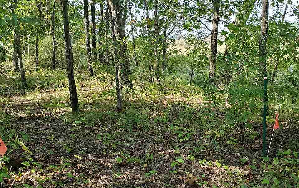2nd image of Big Slough