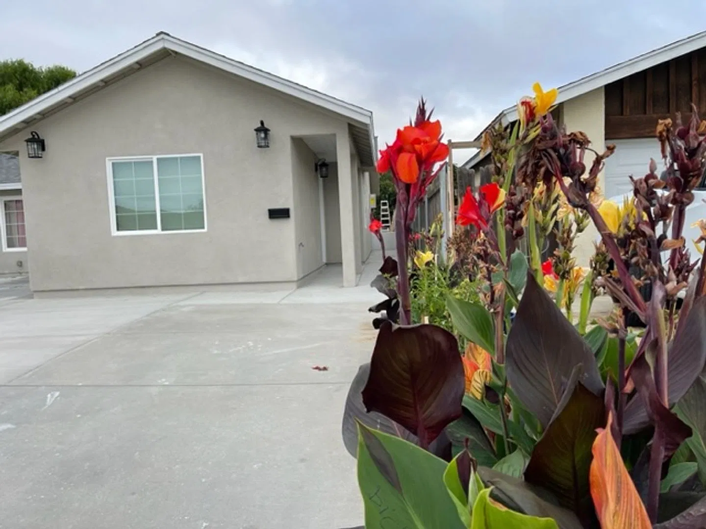 Beautiful 2 bedrooms on quiet street — Photo 1
