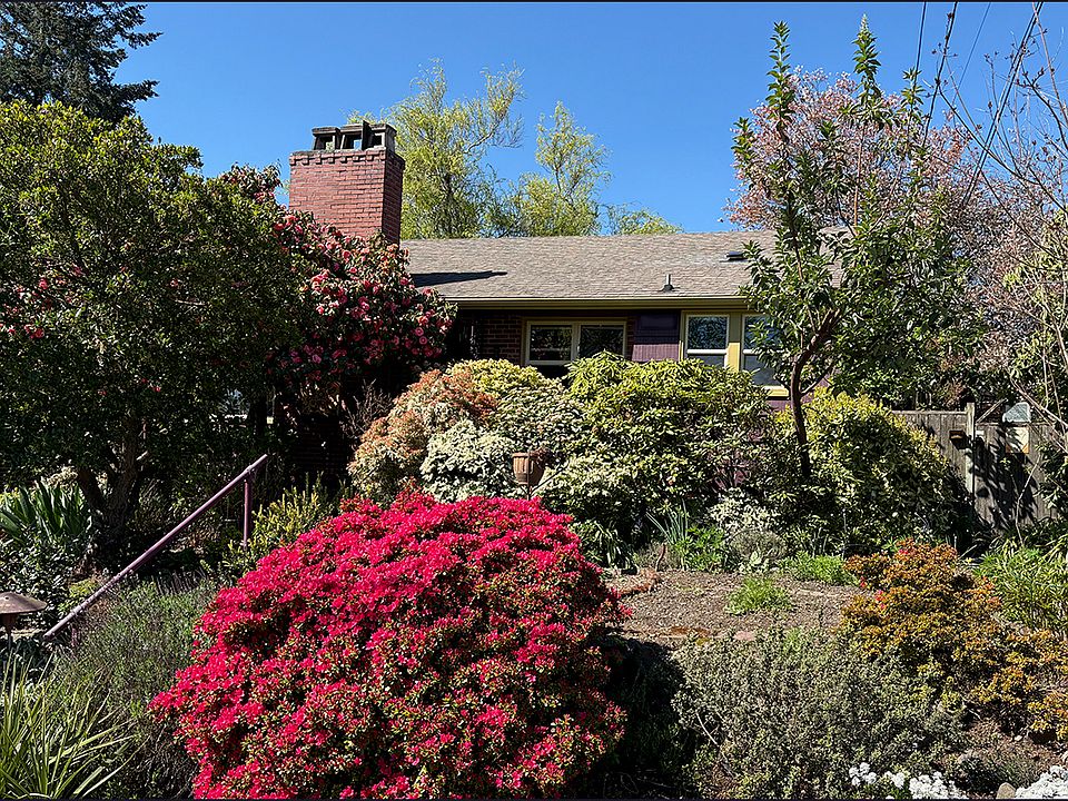 Front of house. A changing display of color and flowers.