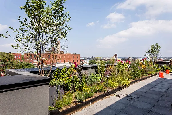 Rented by Nooklyn NYC LLC | media 58