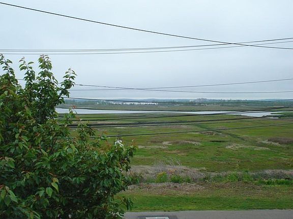 Marsh View