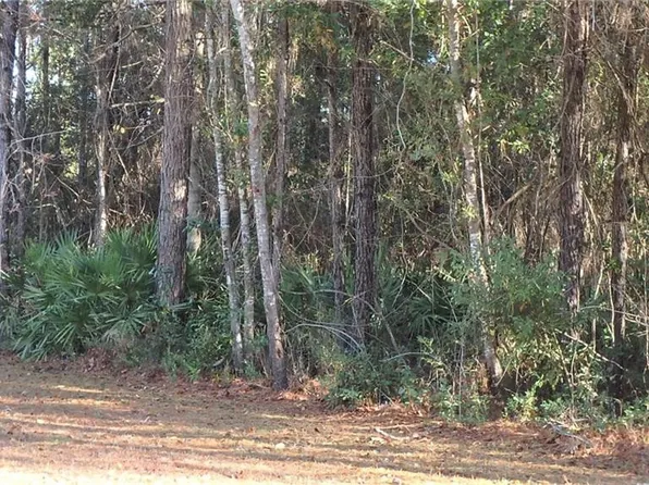 V/l 160 Misty Hbr #P3, Woodbine, GA 31569