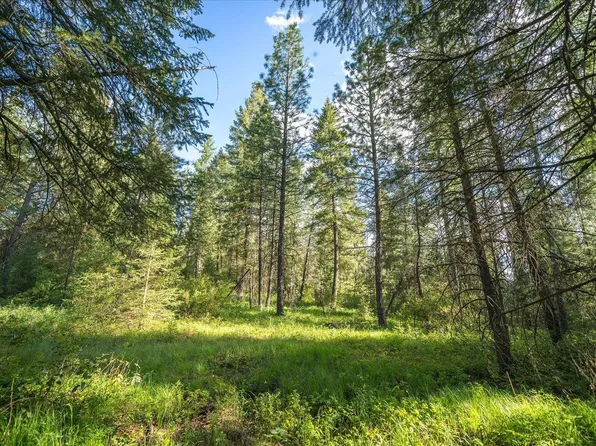 Nna N Regal Rd, Chattaroy, WA 99003