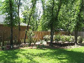 View of garden from patio