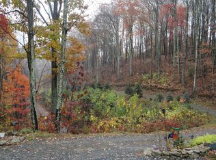 306 Staghorn Dr, Hot Springs, NC 28743