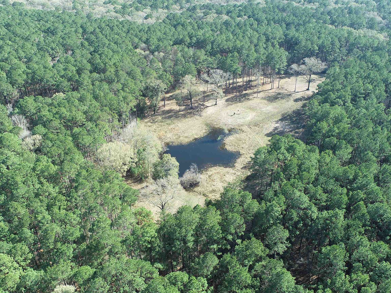 2595 Rd, Hemphill, TX 75948 Zillow