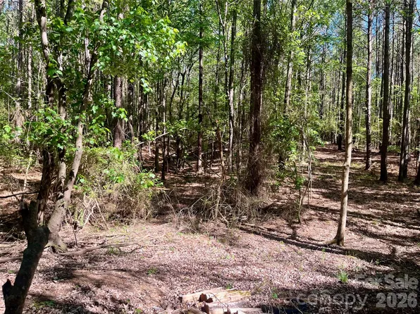 0 White Store Rd, Polkton, NC 28135