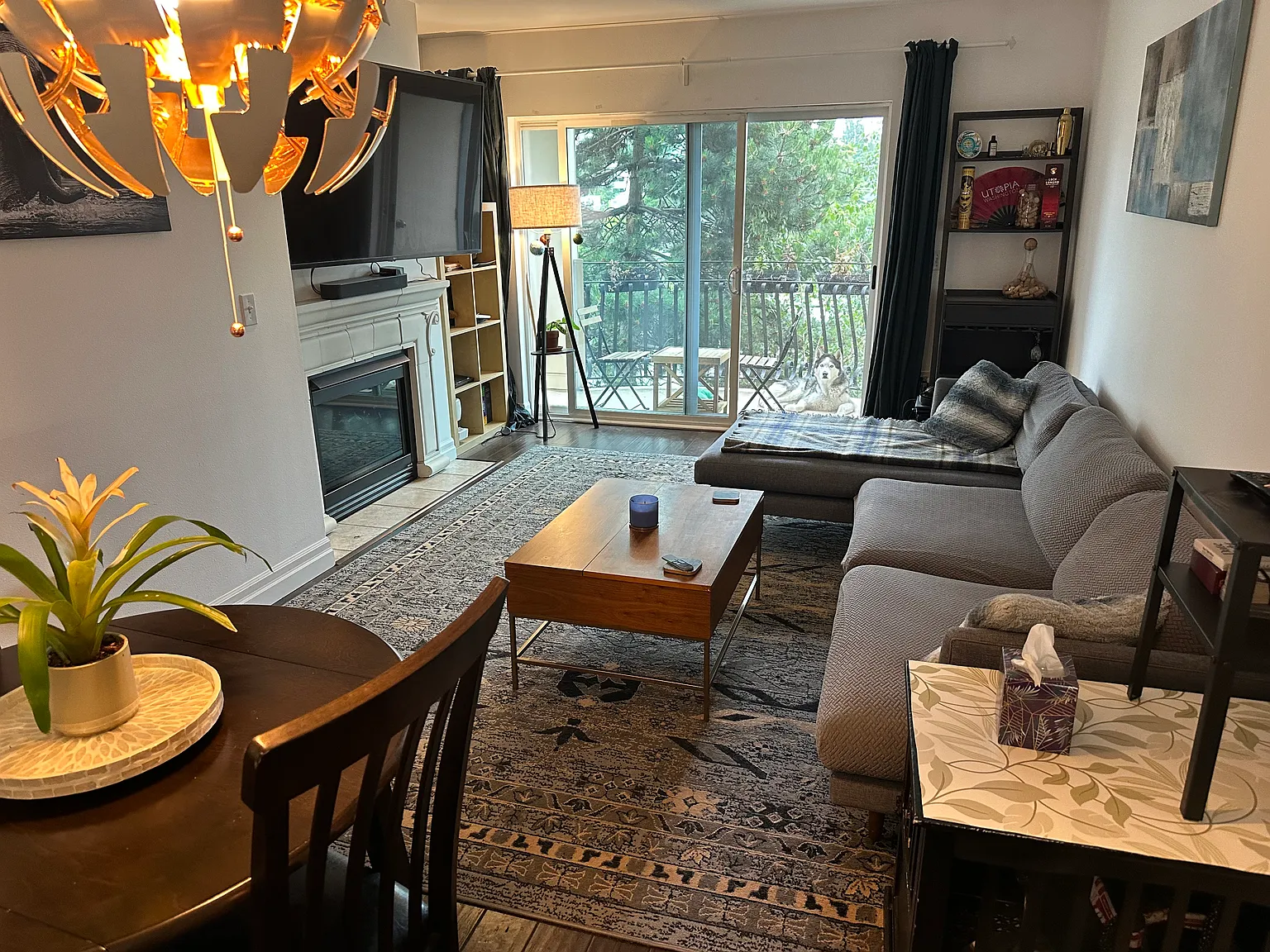 1 bed, 603 sqft, $2,600 — Photo 1
