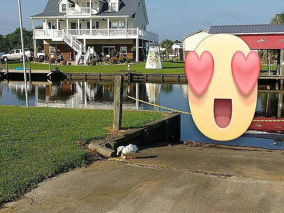 Rear View of the house