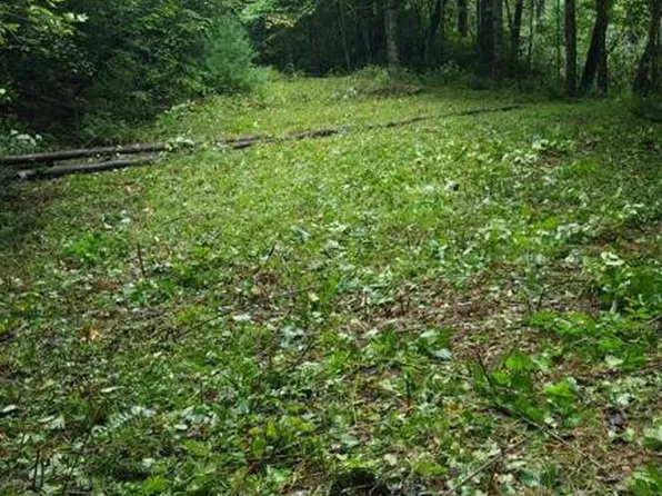 00 Fenley Forest Trail, Cullowhee, NC 28723