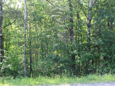 Centerline Rd NW, Solway, MN, 56678