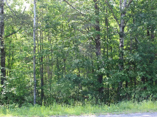 Centerline Rd NW, Solway, MN 56678