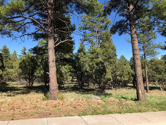 5th image of 298 Royal Troon Dr
