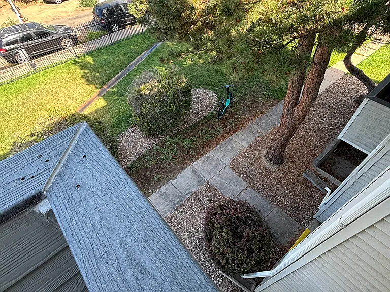 View from deck