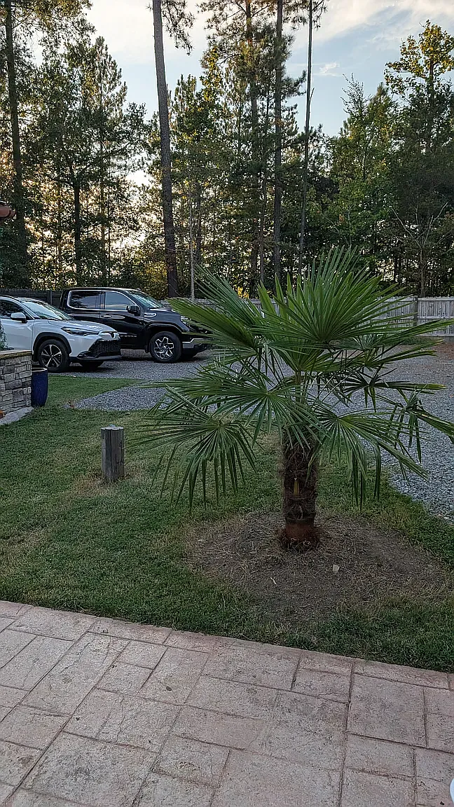6 bed, 2936 sqft, $4,000 — Photo 2