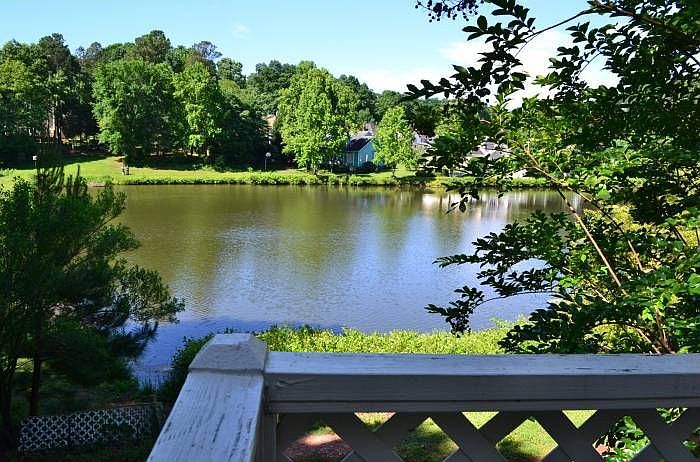 back deck view