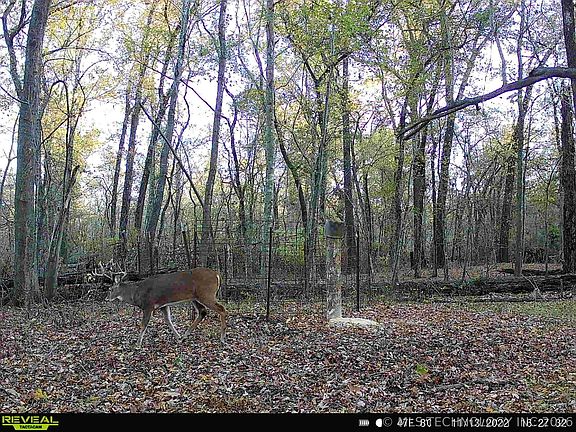 3rd image of 101555 S 4590th Rd