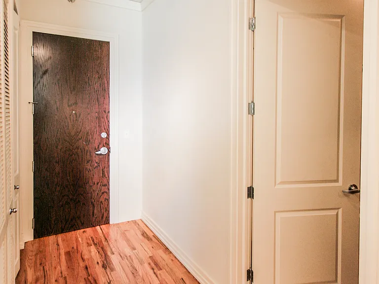 170 W Polk St #802 — Photo 14