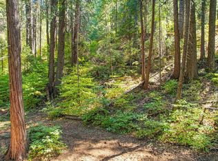 3013 Amber Trl, Pollock Pines, CA 95726