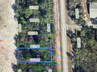 2020 Washington Blvd NW, Lake Placid, FL 33852