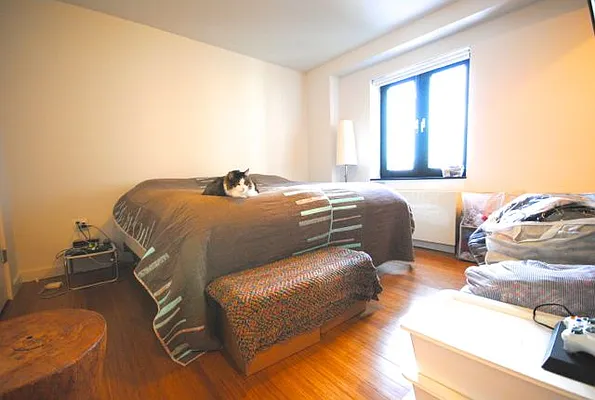 Rented by Bold New York | media 33