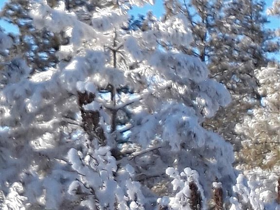 5th image of 0 Muledeer Road