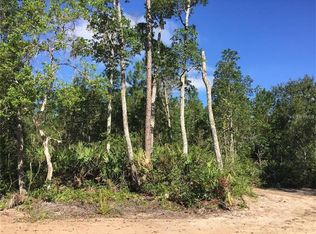310 Western Rd, New Smyrna Beach, FL 32168