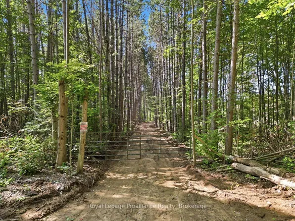 292 Hartin Rd, Addington Highlands, ON K0H 2G0